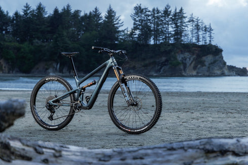 Ibis Ripley V5 Frameset